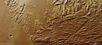 Sulci_Gordii small1.jpg