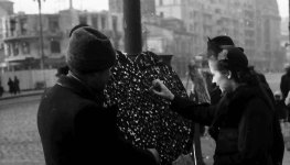 dunrea domolare 1930.jpg